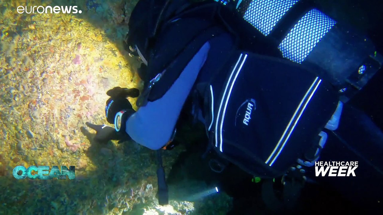 Die heilende kraft des ozeans nutzen