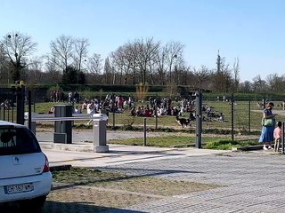 Fête improvisé à la Citadelle de Lille