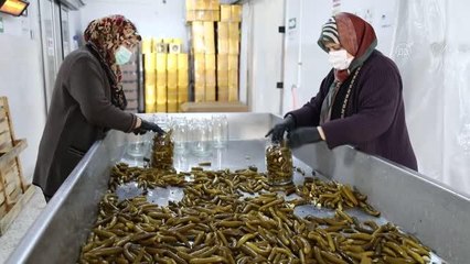 Sağlıksız turşu imalatı görüntülerine ilişkin açıklama