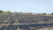 ग्राम बापचा में किसान के खेत में गेहूं की कटी हुई फसल में शार्ट सर्किट से लगी आग