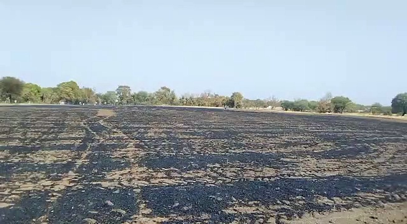 ग्राम बापचा में किसान के खेत में गेहूं की कटी हुई फसल में शार्ट सर्किट से लगी आग