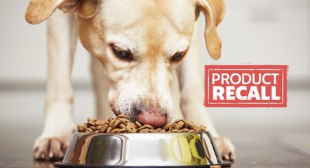 Pet Food Brand Issues Voluntary Recall Over Salmonella Fears