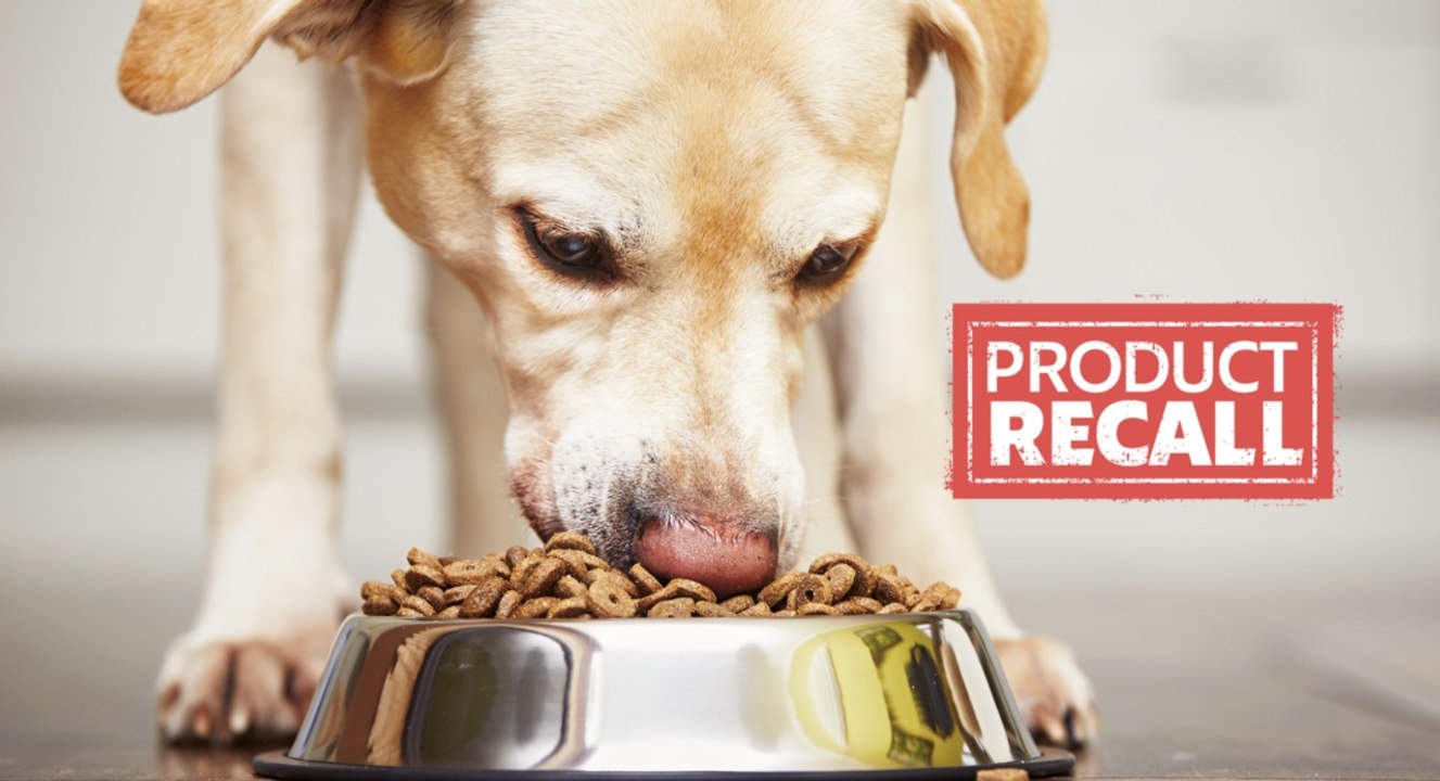 Pet Food Brand Issues Voluntary Recall Over Salmonella Fears