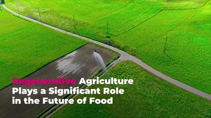 Regenerative Agriculture Plays a Significant Role in the Future of Sustainable Food—Here's Why