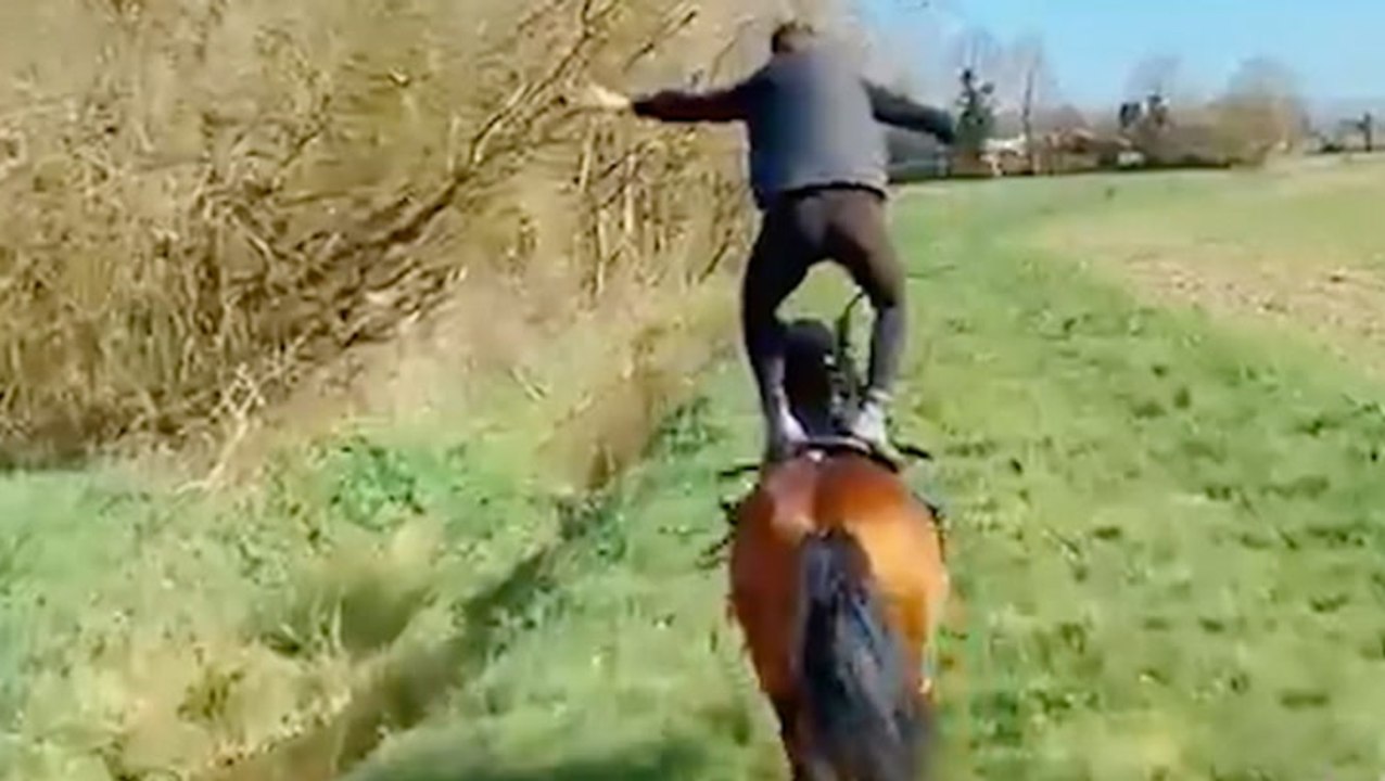 Taking Horseback Riding Up A Notch