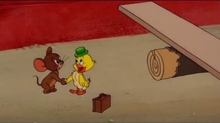 Tom and Jerry, 90 Episode - Southbound Duckling (1955)