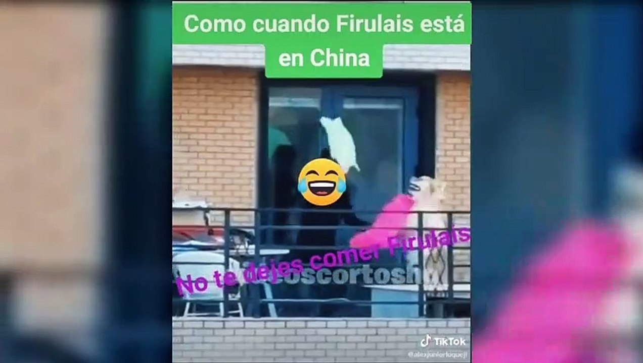 VIDEOS PARA MORIRSE DE RISA 2021