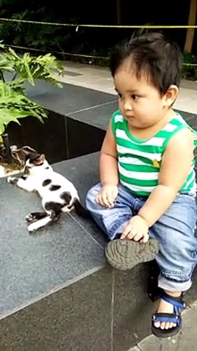 cat and pat