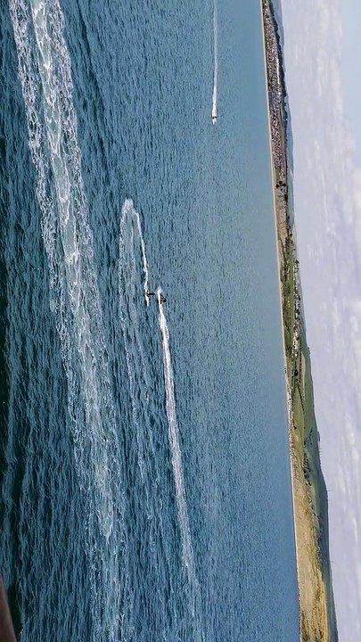 Dolphin At Southampton