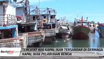 Ratusan Kapal Ikan Kurang Tertata Di Dearmaga Kapal Ikan Pelabuhan Benoa