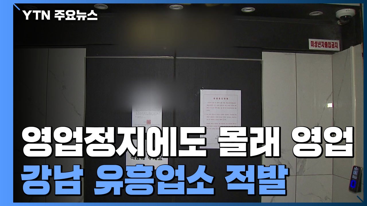 영업정지 중에도 '몰래 영업'...강남 유흥업소 적발 / YTN
