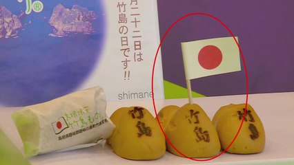 [앵커리포트] '일본땅 독도' 홍보의 장...올림픽이 어쩌다 / YTN