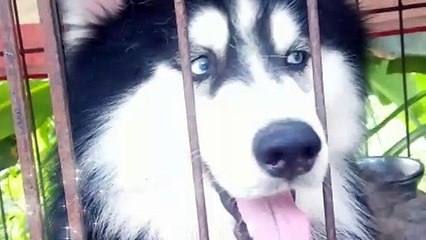 selfie muna