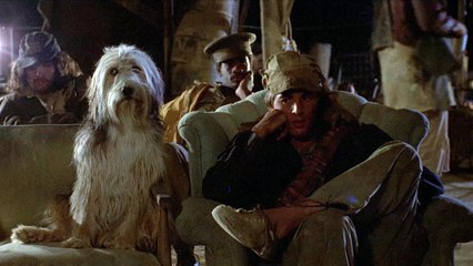 A Boy and His Dog - Trailer