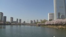 [날씨] 황사 사라지고 공기 깨끗...올봄 가장 따뜻, 서울 21.8℃ / YTN