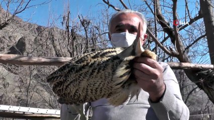 Nesli tükenmekte olan kuş Erzurum'da görüldü