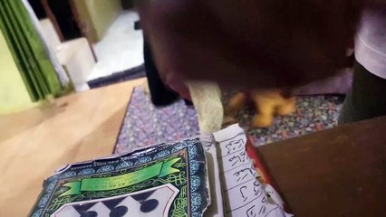 Perang bantal sama Mas Lio 19 Februari 20190