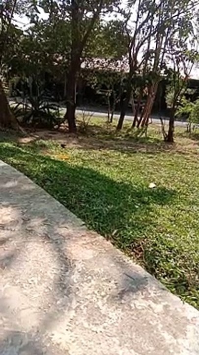 park