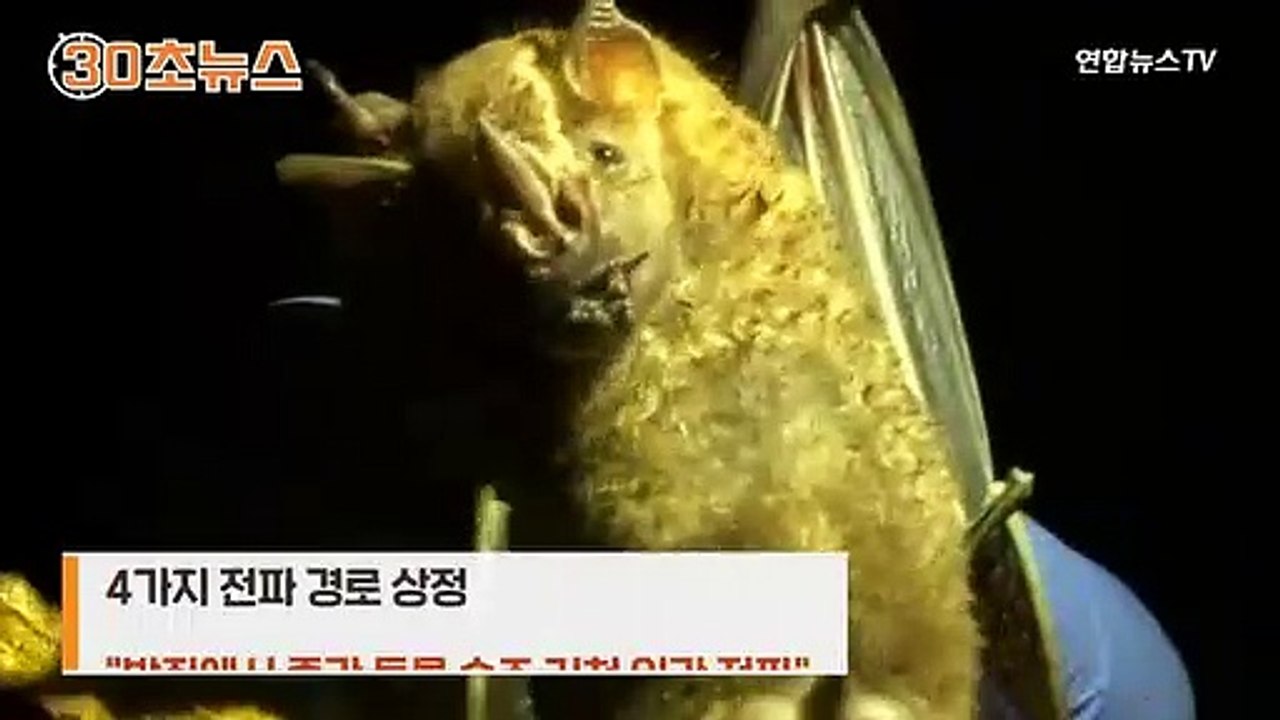 [30초뉴스] 시장도 실험실도 아니라면…바이러스 기원 논란 계속