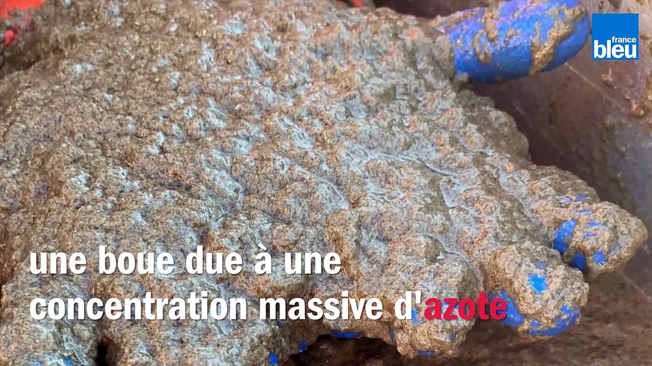 Le liga, pollution marine filmée par les pêcheurs basques