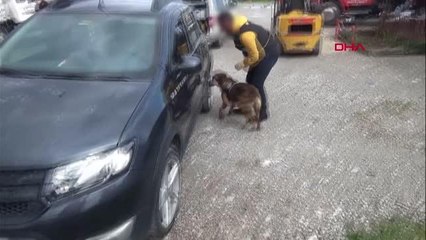 MERSİN Otomobilin hava yastığı bölmesine gizlenmiş 2 kilo kokain ele geçirildi