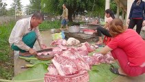 Làm Thịt Con Lợn Bò Một Năm Tuổi - Gía Lợn Hơi 85