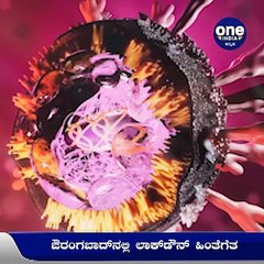 ಕೊರೊನಾ ಸೋಂಕು ಹೆಚ್ಚಾಗಿದ್ದರೂ ಲಾಕ್‌ಡೌನ್‌ ಕ್ಯಾನ್ಸಲ್‌ ಮಾಡಿದ ಔರಂಗಾಬಾದ್‌ ಜಿಲ್ಲಾಡಳಿತ | Oneindia Kannada