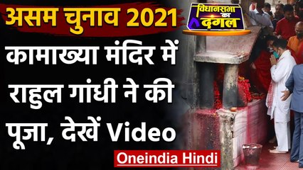 Assam Election 2021 :  Kamakhya Temple पहुंचे Rahul Gandhi, विधि-विधान से की पूजा | वनइंडिया हिंदी