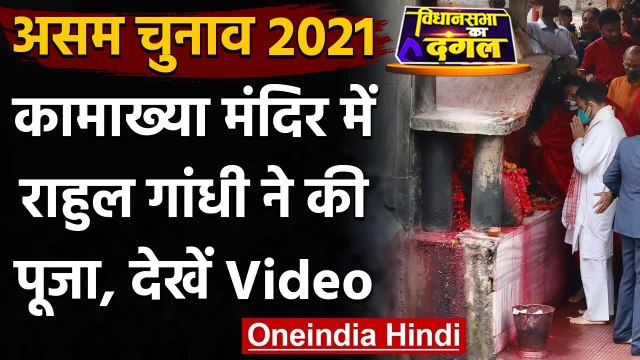 Assam Election 2021 : Kamakhya Temple पहुंचे Rahul Gandhi, विधि-विधान से की पूजा | वनइंडिया हिंदी