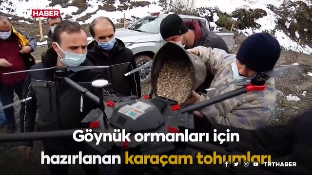 Dron teknolojisi ile ormanlar nefes alıyor