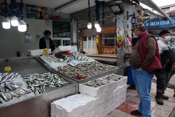 Sinoplu balıkçılar bu sezon umduğunu bulamadı