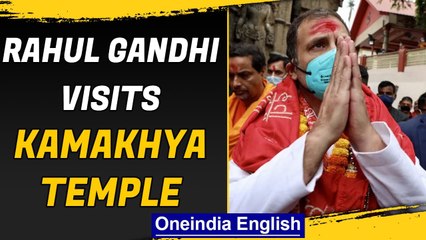 Скачать видео: Rahul Gandhi prays at Kamakhya temple | Assam election | Oneindia News