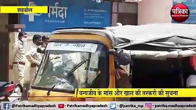 SHAHDOL : वन्यजीव के मांस और खाल की तस्करी की सूचना पर वन विभाग की दबिस