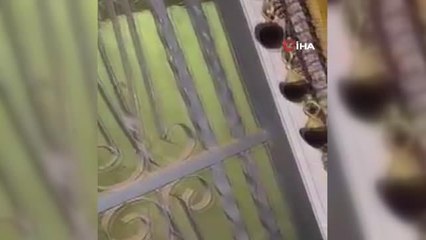 Son Dakika | - Nijer'de Devlet Başkanlığı binası yakınında silah sesleri