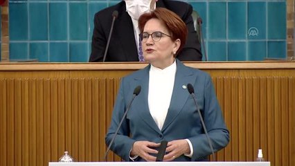 Akşener: "Türkiye'nin iklim krizi ve doğa konusunda bir an önce harekete geçmesi gerekiyor"