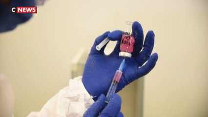 Russie : homologation d’un vaccin anti-Covid pour les animaux