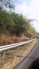 bannerghatta forest journey