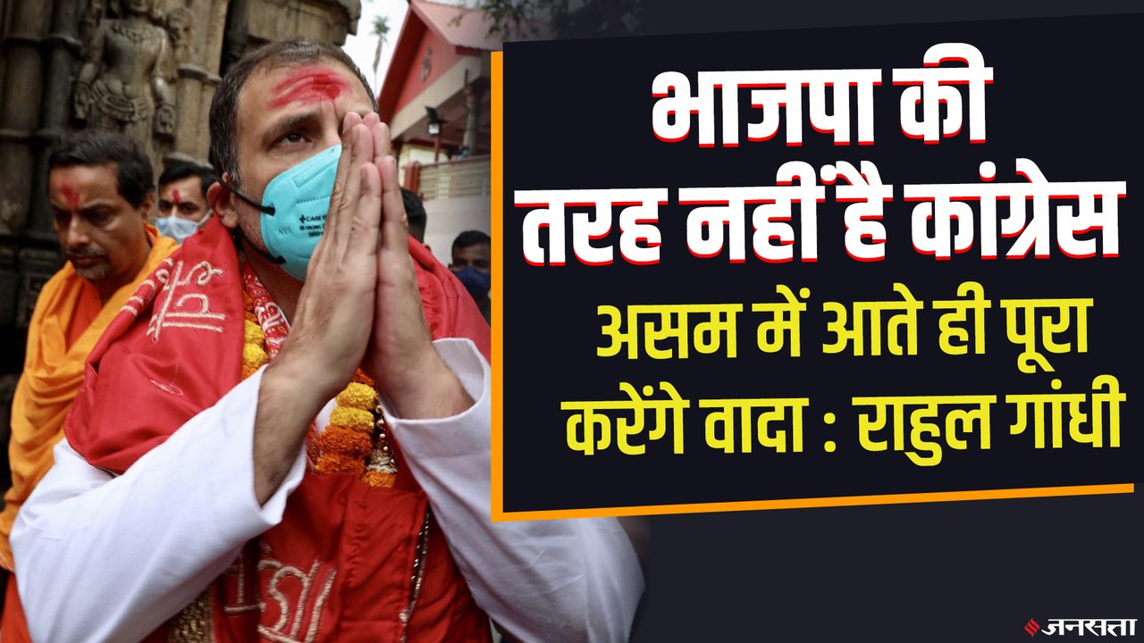 राहुल बोले - BJP की तरह नहीं है कांग्रेस, वादा पूरा करेंगे, शाह बोले - बदरुद्दीन अजमल नहीं असम की पहचान | Assam Election 2021