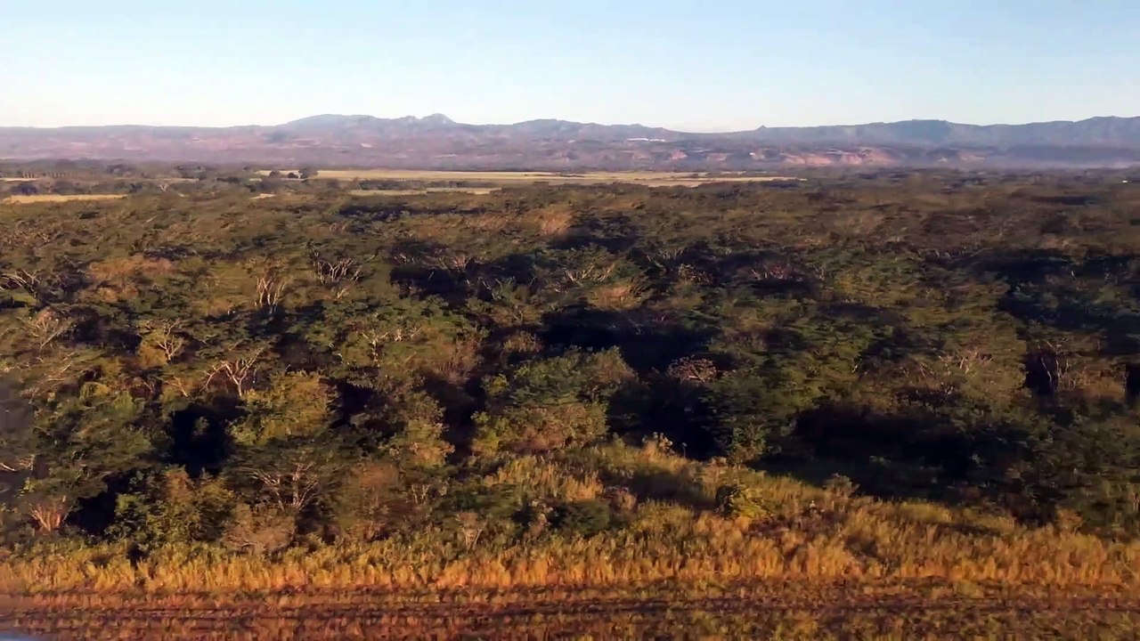 Flight Landing through the jungle