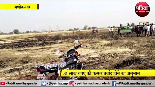 ASHOKNAGAR : भीषण आग में 3 गांवों की 1300 बीघा जमीन खाक