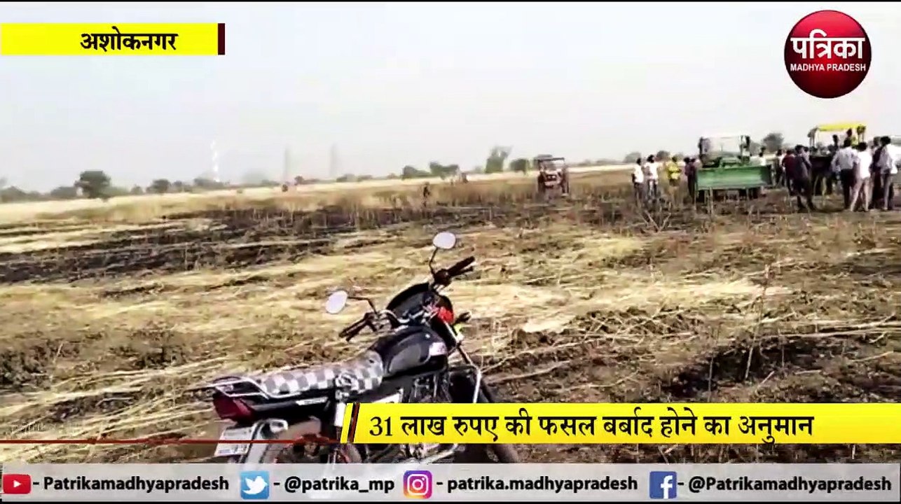 ASHOKNAGAR : भीषण आग में 3 गांवों की 1300 बीघा जमीन खाक