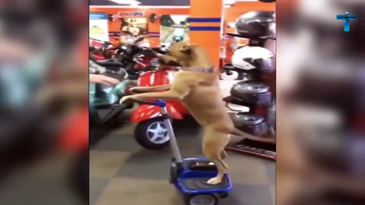 Top 10 WEIRD THINGS CAUGHT ON SECURITY & CCTV CAMERAS!