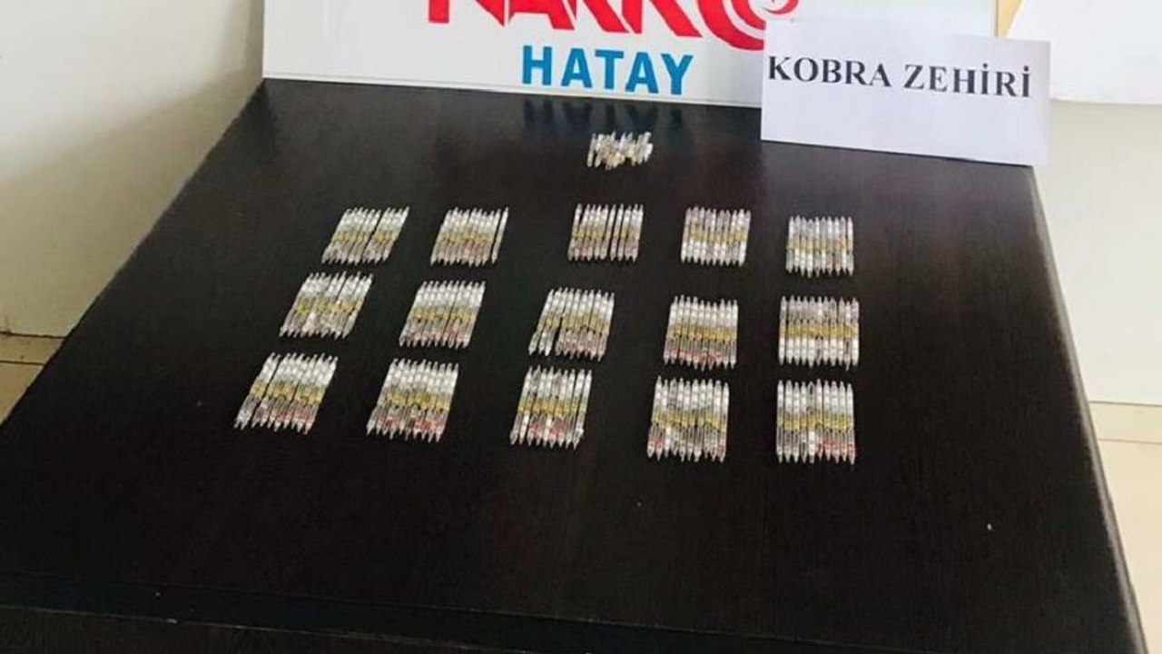 Hatay’da 156 tüp kobra zehri ele geçirildi
