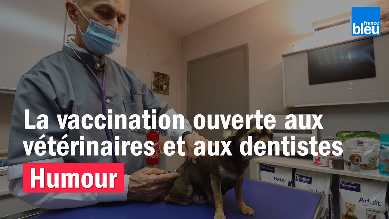 HUMOUR - La vaccination ouverte aux vétérinaires et aux dentistes par Willy Rovelli