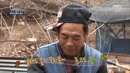 명언 제조기 자연인, 봄나물 부침개 먹고 주옥같은 명언이 줄줄~♬