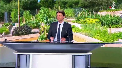 Printemps : les beaux jours poussent à se mettre au jardinage