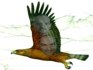 Je ne suis que celui