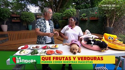 Frutas y verduras recomendadas para el consumo de las mascotas