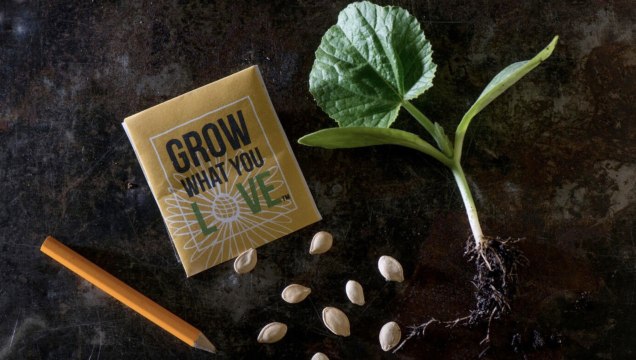 What's the Difference Between Sowing Seeds and Planting Starts?