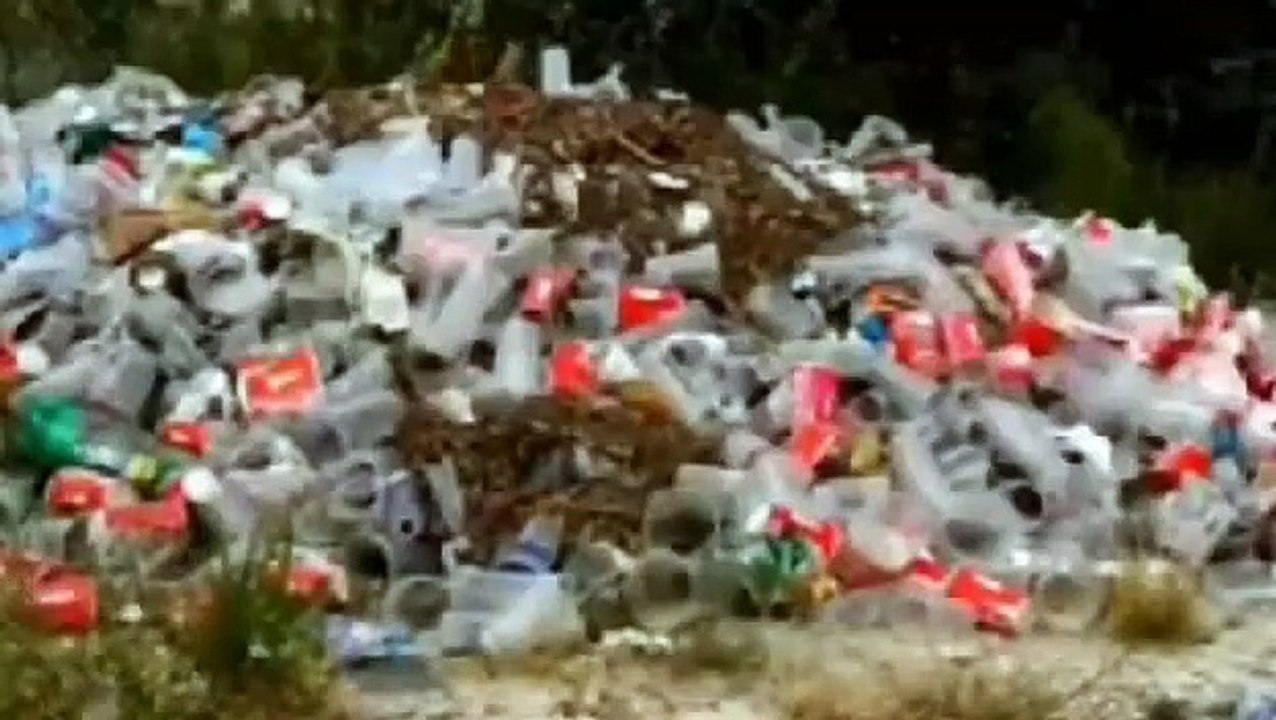 Fundación Yammine con la cultura del reciclaje